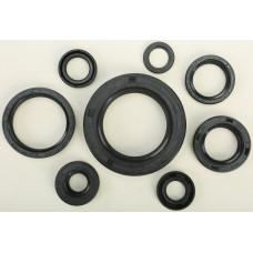 OIL SEAL SET