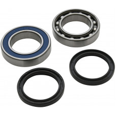 TRACK SHAFT BRG & SEAL KIT