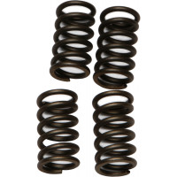 CLUTCH SPRINGS CSK4