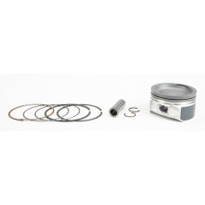 PISTON KIT NIKASIL CYL POL 79.95/STD 10.0:1
