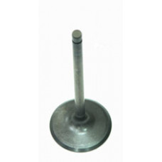 INTAKE VALVE