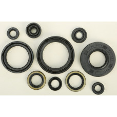 OIL SEAL SET