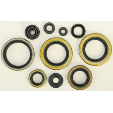 OIL SEAL SET