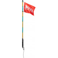 4' LED WHIP W/ BLUETOOTH 4' LED WHIP W/ BLUETOOTH
