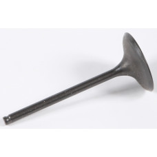 INTAKE VALVE