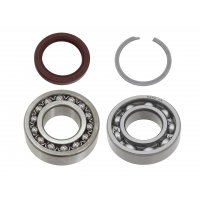 JACK SHAFT BEARING/SEAL KIT YAM