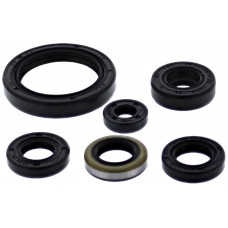 OIL SEAL SET KAW