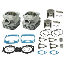 CYLINDER KIT 550 FAN POL