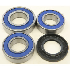 REAR WHEEL BEARING KIT