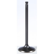 BLACK DIAMOND INTAKE VALVE BLACK DIAMOND INTAKE VALVE