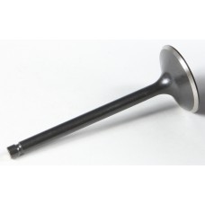 BLACK DIAMOND INTAKE VALVE