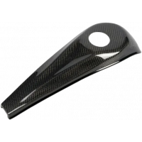 CARBON FIBER DASH FLHX/FLTR 08-22