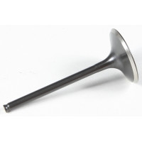 BLACK DIAMOND INTAKE VALVE