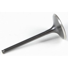 BLACK DIAMOND INTAKE VALVE BLACK DIAMOND INTAKE VALVE