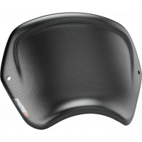 FRONT PLATE CARBON