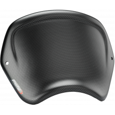 FRONT PLATE CARBON