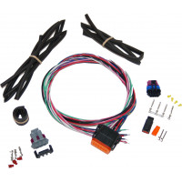 TWIN CAM IGNITION HARNESS STAND ALONE