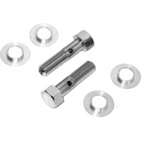 BREATHER BOLTS  CHROME PAIR TWIN CAM
