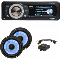 ULTRA RGB AND STEREO PLUS KIT `98-13 FLT/FLH