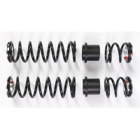 DUAL RATE SPRING KIT 36