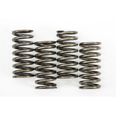 CLUTCH SPRINGS CSK248