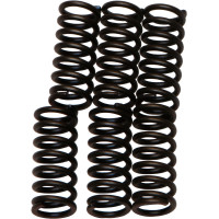 CLUTCH SPRINGS CSK1