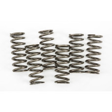CLUTCH SPRINGS CSK221