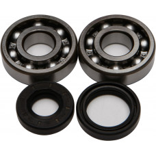 CRANKSHAFT BEARING/SEAL KIT