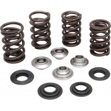 SPRING KIT .600 LIFT HD TWIN CAM