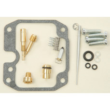 CARBURETOR REPAIR KIT