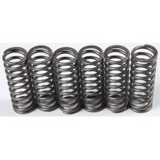 CLUTCH SPRINGS CSK119