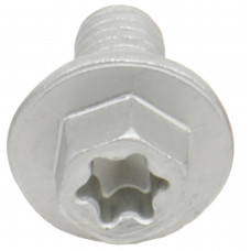 EURO TORX LARGE FLANGE BOLT 6X.1.0X12MM 10/PK