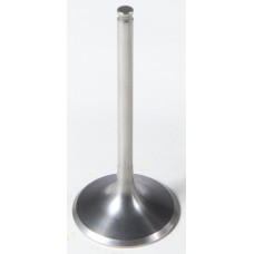 INTAKE TI VALVE