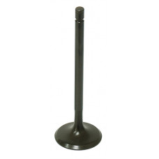 INTAKE VALVE