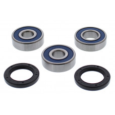 WHEEL BEARING & SEAL KIT