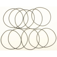 DERBY COVER O-RING EVO 10/PK OE#25416-84