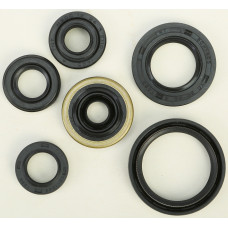 OIL SEAL SET