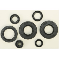 OIL SEAL SET