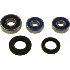 REAR WHEEL BEARING KIT