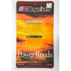MOTORCYCLE REEDS