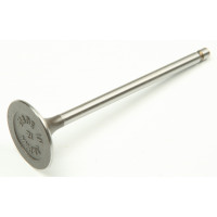 INTAKE VALVE