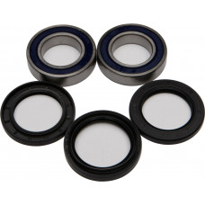 WHEEL BEARING & SEAL KIT