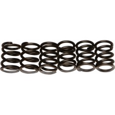 CLUTCH SPRINGS CSK19