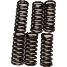 CLUTCH SPRINGS CSK196