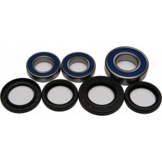 REAR WHEEL BEARING KIT