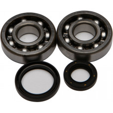 CRANKSHAFT BEARING/SEAL KIT