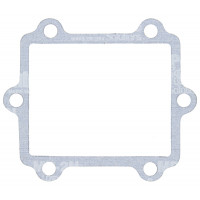 REED GASKET