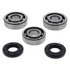 CRANKSHAFT BEARING/SEAL KIT