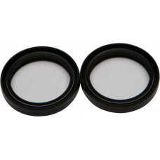 FORK SEAL KIT