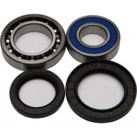 WHEEL BEARING & SEAL KIT